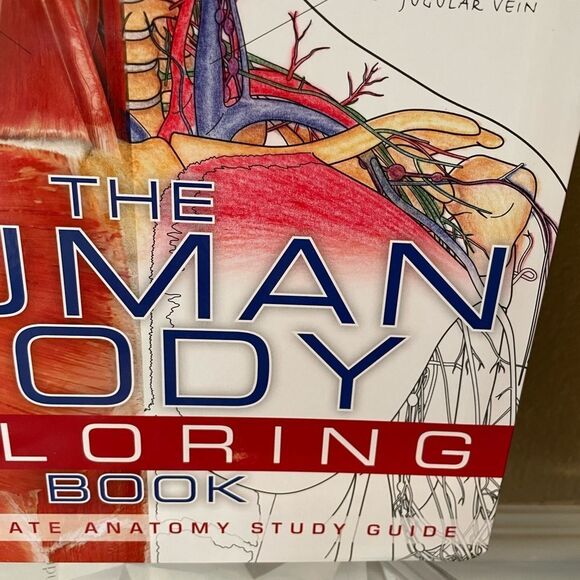 The Human Body Coloring Book - Picture 5 of 14